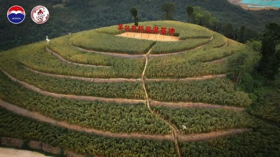 茅五洋泸汾领头，探索酒业ESG发展新路径、新样本